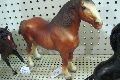 Bryer Horse $28 HZ.jpg -|- Date Added: 06-03-2011 